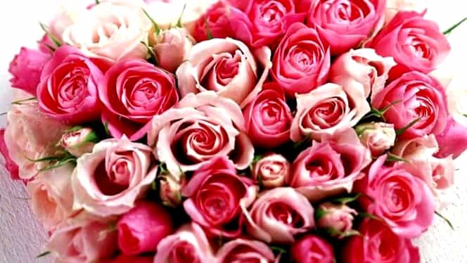 8 Martie Ziua InternaÅ£ionalÄ A Femeii Ce SemnificaÅ£ii Are In aceasta zi, barbatii si baietii nu trebuie sa uite de femeile din viata lor si trebuie sa le ofere martisoare, cadouri si flor. 8 martie ziua internaÅ£ionalÄ a femeii