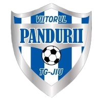 Viitorul Pandurii Tg Jiu