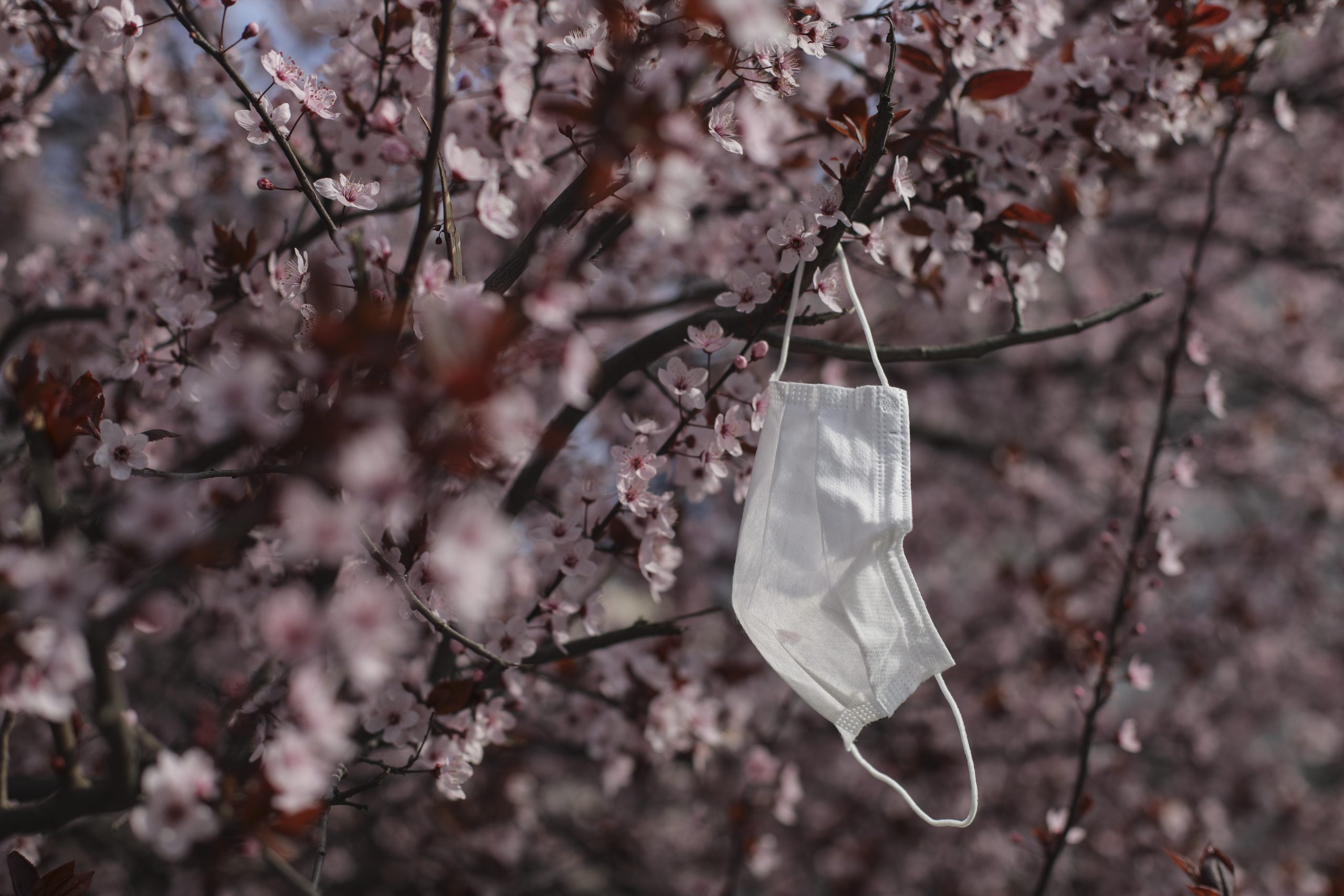 VIDEO. De ce nu se limitează preţurile la măşti de protecţie ...