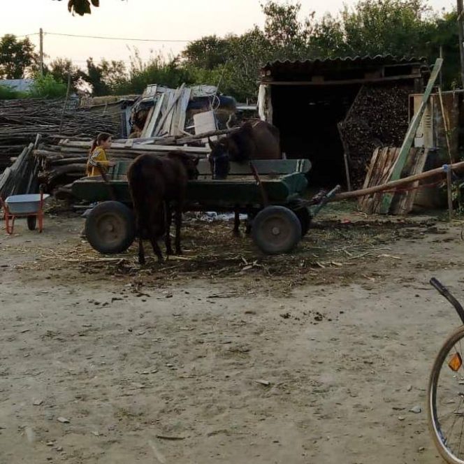 Familia Cârjan se chinuie să le ofere copiilor strictul necesar
