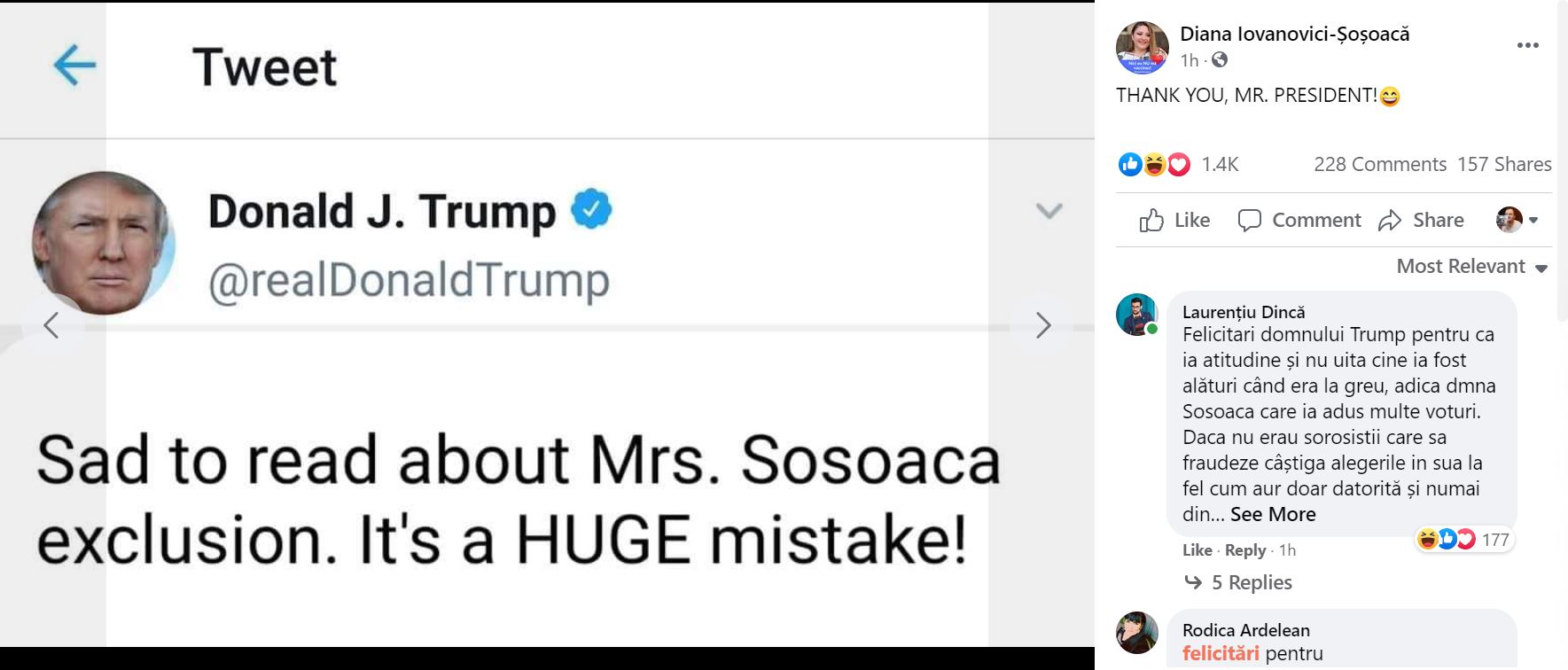 diana sosoaca fake donald trump