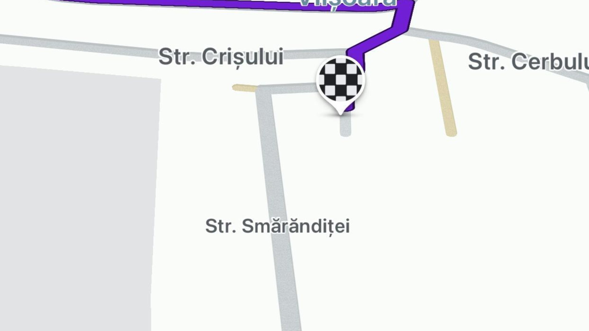 ana smărăndița irina șefa de cabinet bolojan/ gps