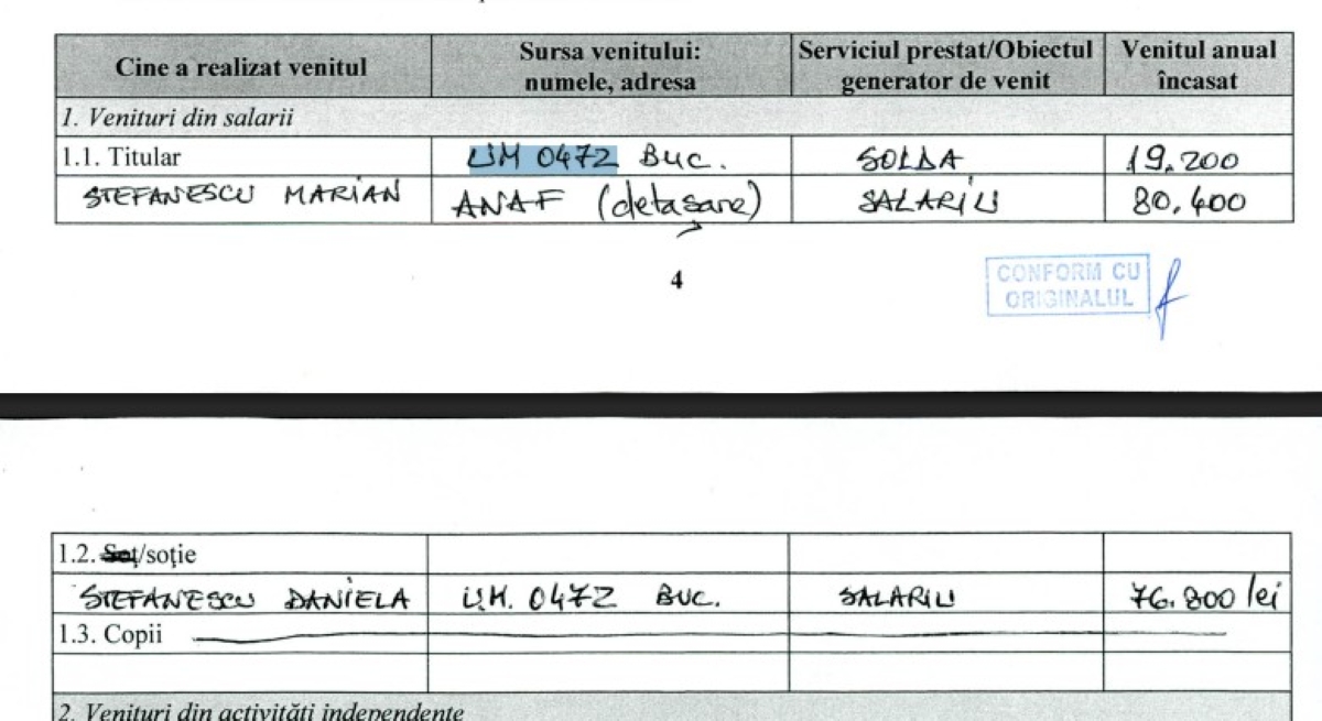 Stefanescu Marian DA 2017